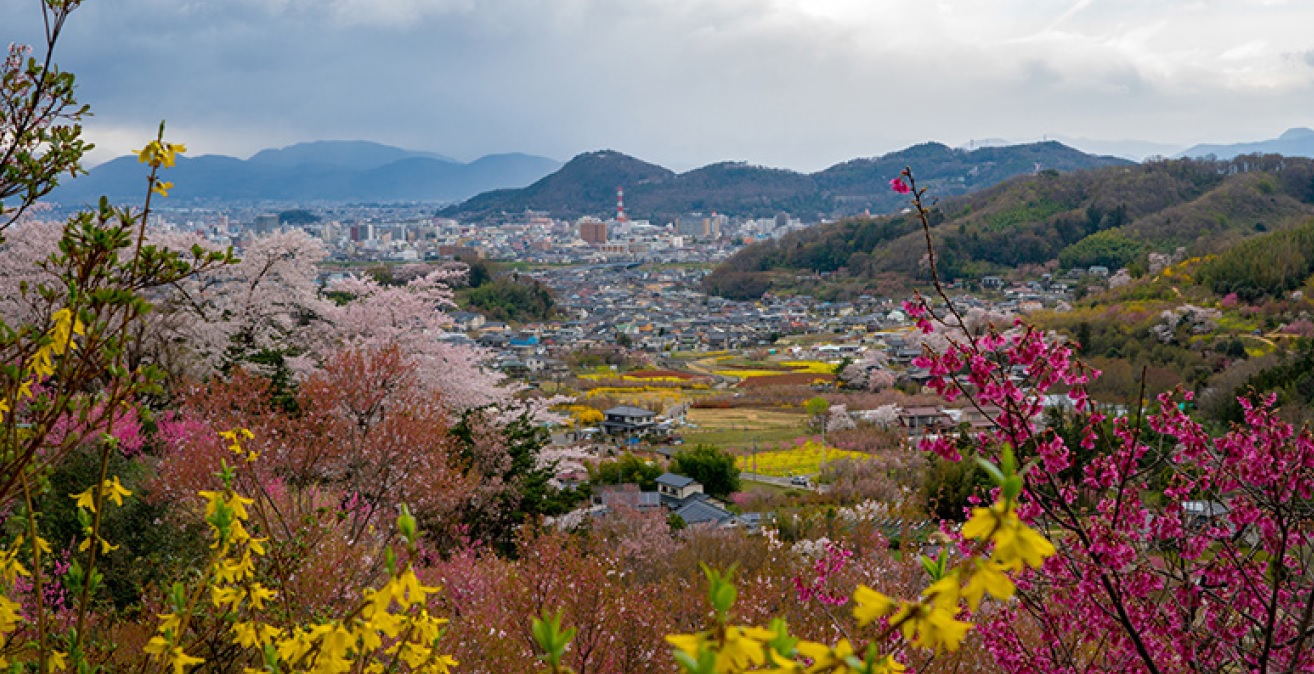 Fukushima foto