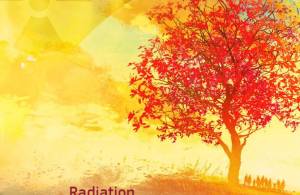 European Commission  Radiation Protection nº 202 
